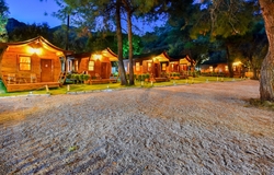 Green Pine Beach & Bungalows