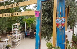 Zeytin Dalı Butik Otel & Beach