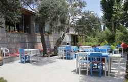 Assos Gül Pansiyon Restaurant