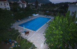 Süreyya Hotel
