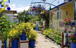 Boncuk Hemşire Apartları