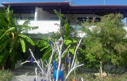 Mazı Cansu Apart