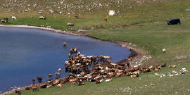 Aygır Gölü Turizme Kazandırılmayı Bekliyor