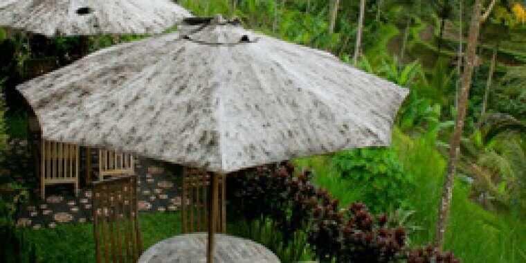Bali'nin Şifalı Koyu: Ubud