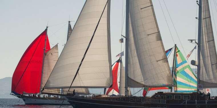 30. Yıl, 2 Yarış, Tek Tutku: The Bodrum Cup Heyecanı Başlıyor