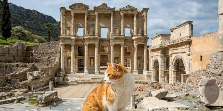 Efes Antik Kenti’ni Keşfedin!