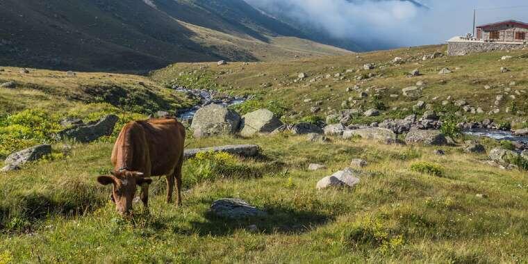 Kaçkar Dağları Milli Parkı’nın Görülmeye Değer Güzellikleri
