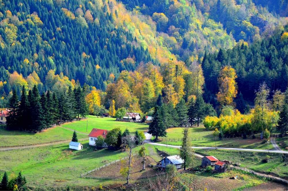 Odayeri Yaylası - Düzce Merkez