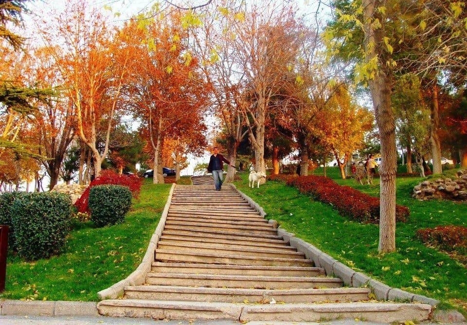 Alaaddin Tepesi - Konya Selçuklu