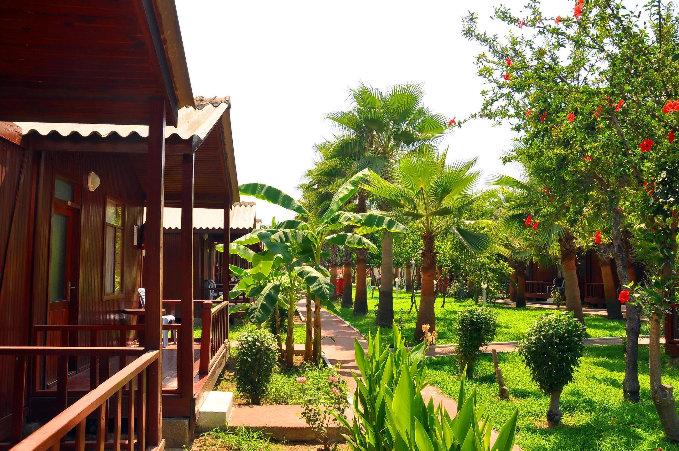 Веванта виладж фото реальные. Alanya hotel с бунгало. Dulini river lodge. Бунгало парк хаус абзаково. Бунгало парк в голландии.