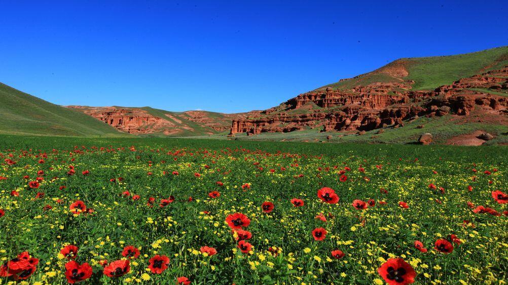 Erzurum kamp alanları