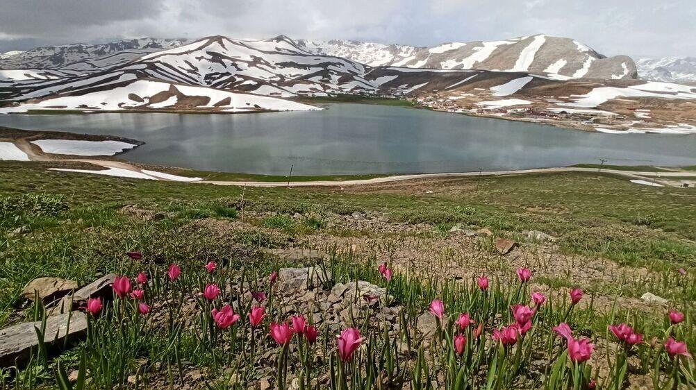 Konya kamp alanları