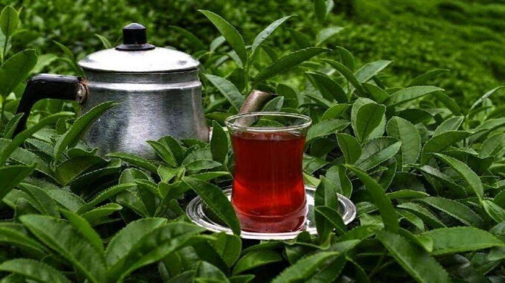 Türkiye'nin meşhur yemekleri