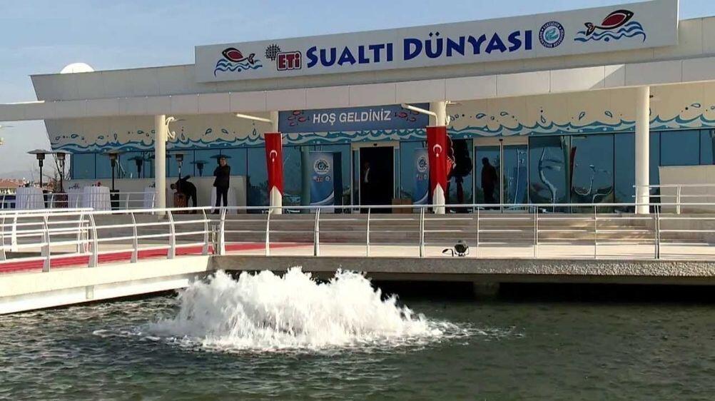 Sualtı Dünyası