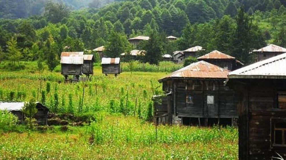 Karadeniz'in Göz Bebeği: Rize, Ardeşen