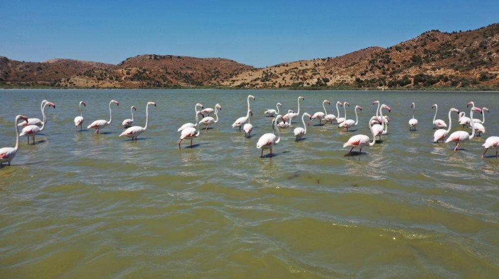 Ülkemizin Sürpriz Coğrafyası: Bafa Gölü Gezi Rehberi