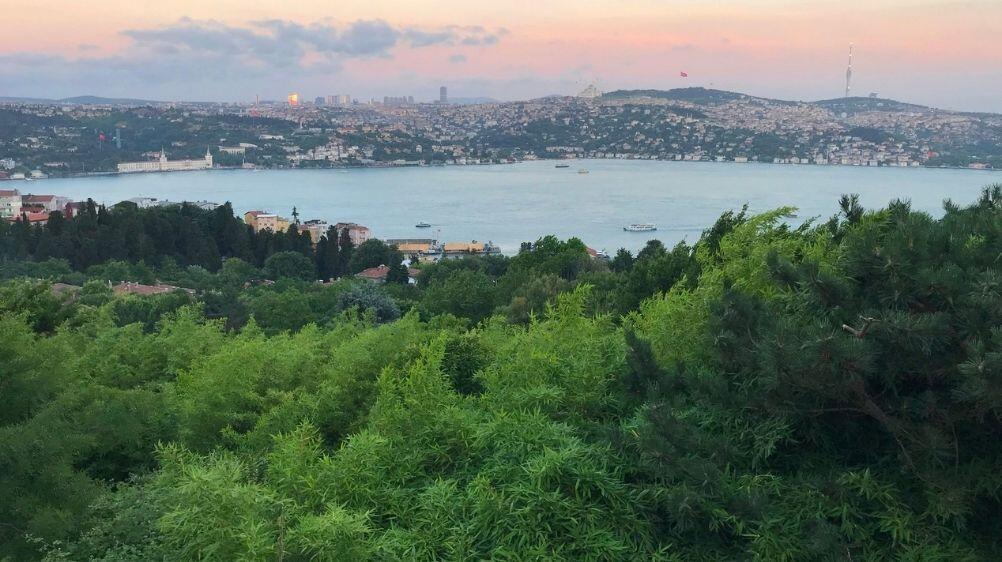 İstanbul’da Ormanlara Giriş Yasağı Başladı mı? Nereler Yasak?