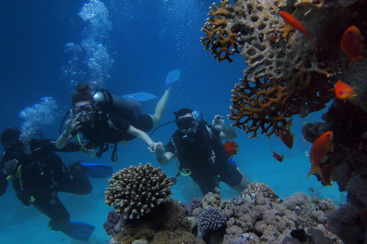 Fethiye'nin En Güzel Dalış Noktası: Afkule Dalış Rehberi