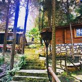 Ağva Orman Evleri - Forest Lodge