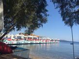 Fink Beach Club