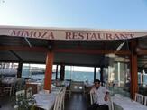 Mimoza Gümüşlük Restaurant