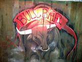Bull Bar