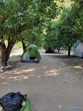 Halanın Yeri Camping