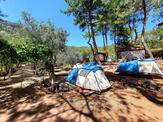 Ölüdeniz Doğa Kamp
