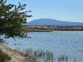 Dalyan Gölü Edirne