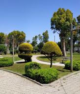 Sahil Park