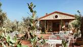 Urla Vino Locale