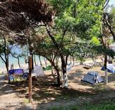 Sinop Orman Kampı