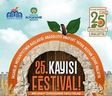 Malatya Kültür, Sanat ve Kayısı Festivali