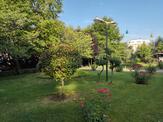 Koca Yusuf Parkı