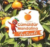 Gümüldür Özdere Mandalina Festivali