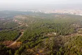 Eskişehir Kent Ormanı