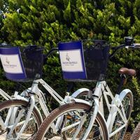 Genel Görünüm Galerisi