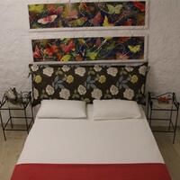 Oda Özellikleri Galerisi