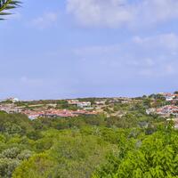 Genel Görünüm Galerisi