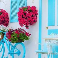 Genel Görünüm Galerisi