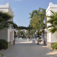 Genel Görünüm Galerisi