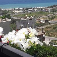 Genel Görünüm Galerisi