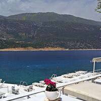 Genel Görünüm Galerisi