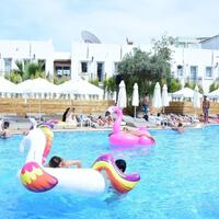 Genel Görünüm Galerisi