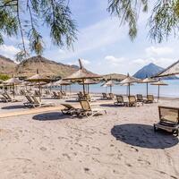 Genel Görünüm Galerisi