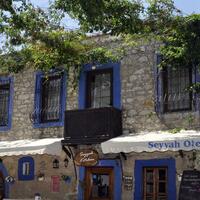 Genel Görünüm Galerisi