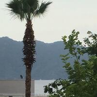 Genel Görünüm Galerisi