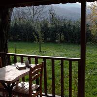 Genel Görünüm Galerisi