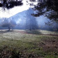 Spor Galerisi