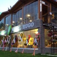 Genel Görünüm Galerisi